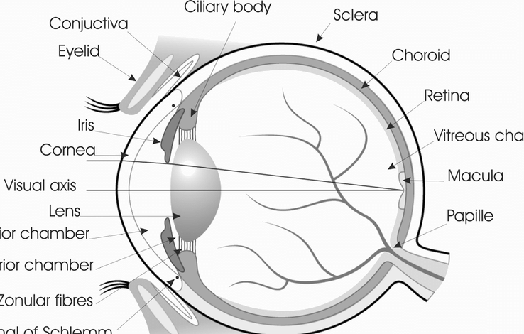 LASIK Blog: Information & LASIK/PRK Experience- LasikPlus