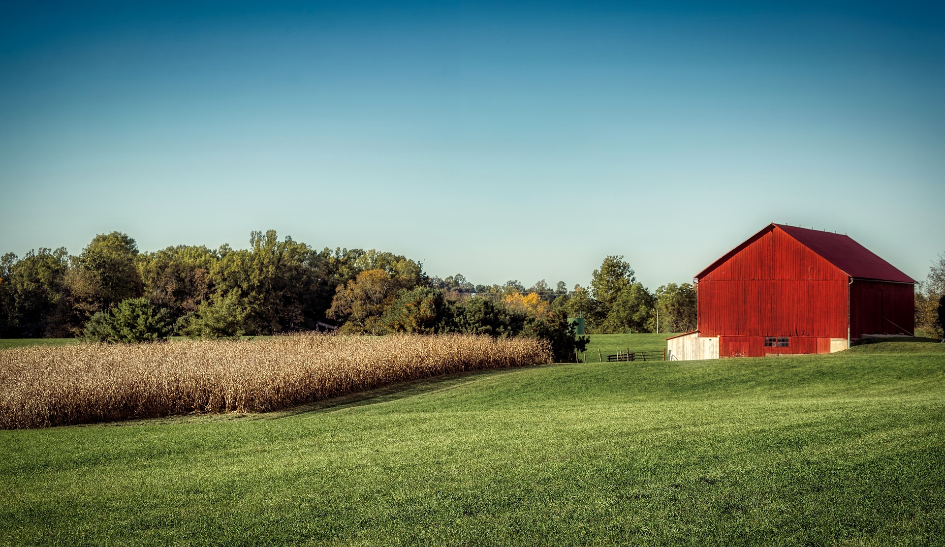 LASIK Eye Surgery In Zanesville, Ohio